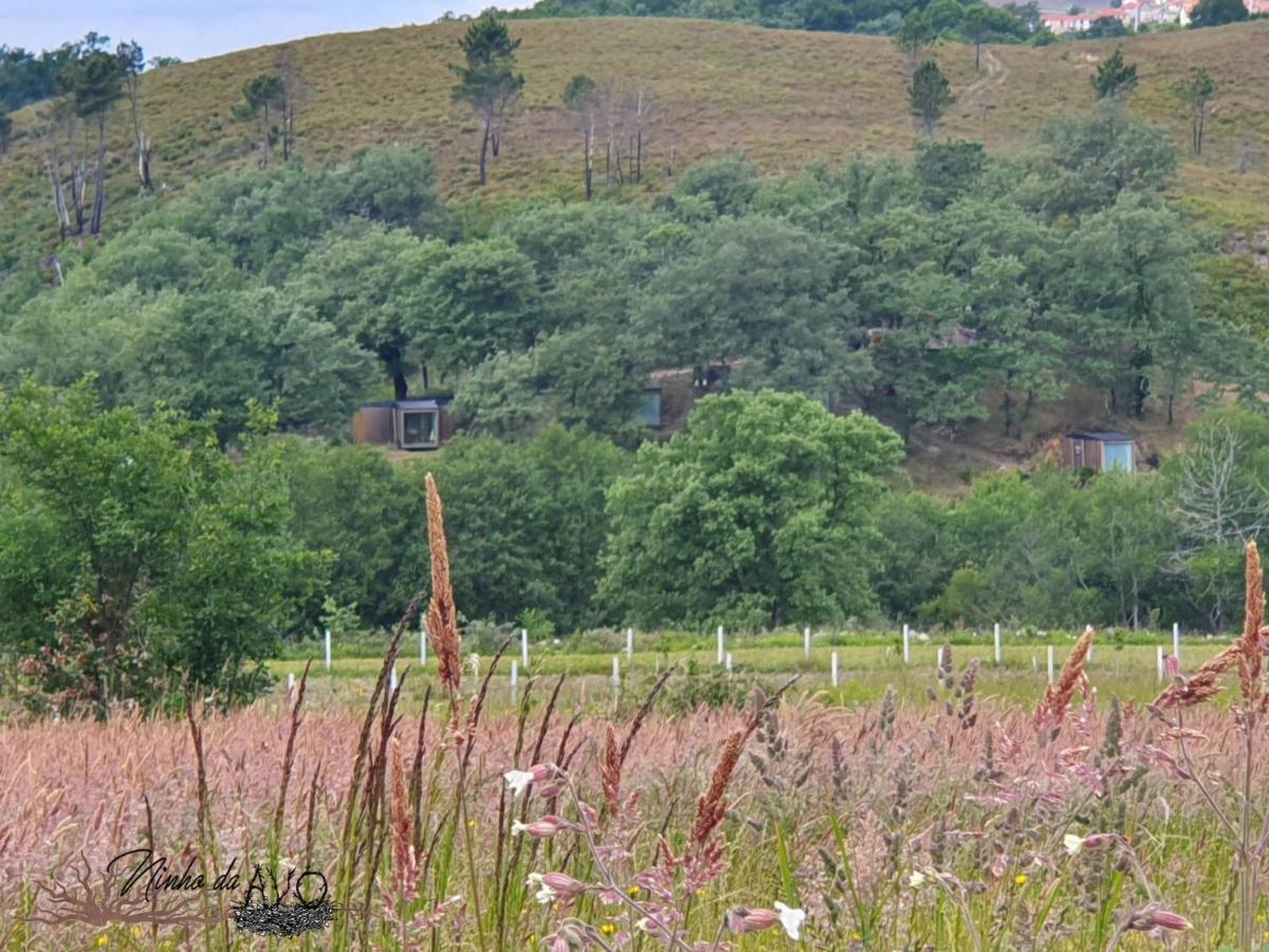 Ninho Da Avo Selvagem Villa Montalegre Dış mekan fotoğraf