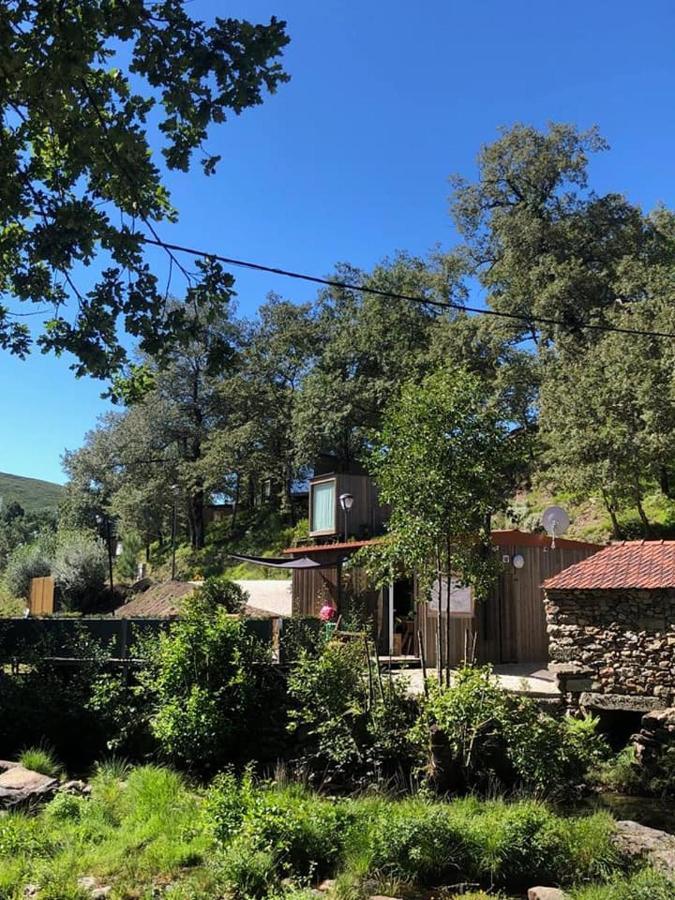 Ninho Da Avo Selvagem Villa Montalegre Dış mekan fotoğraf