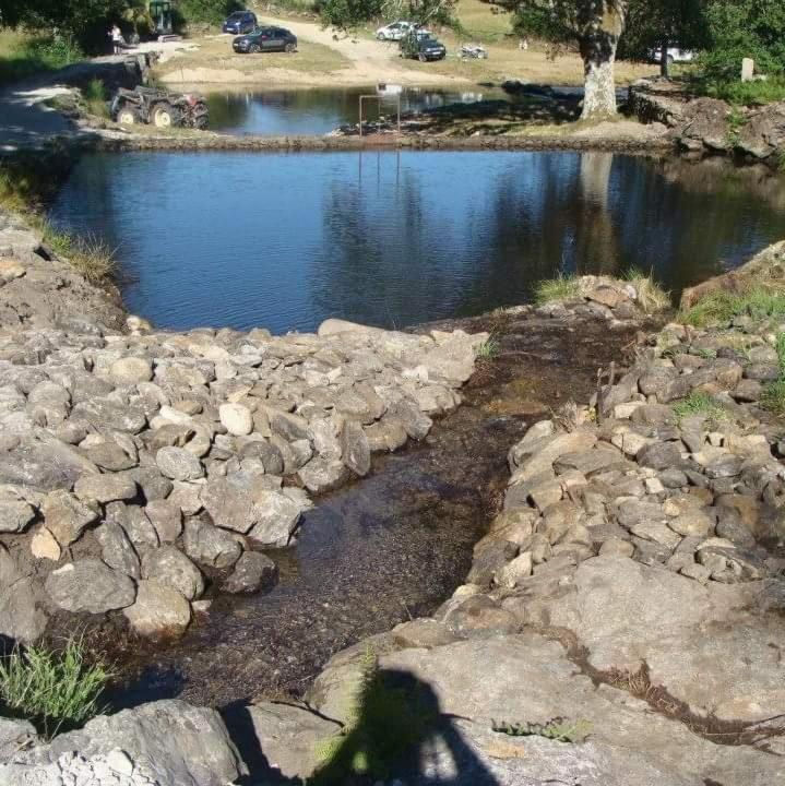 Ninho Da Avo Selvagem Villa Montalegre Dış mekan fotoğraf