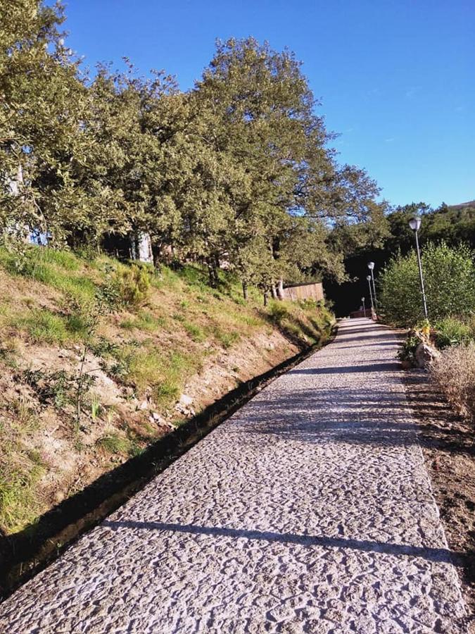 Ninho Da Avo Selvagem Villa Montalegre Dış mekan fotoğraf